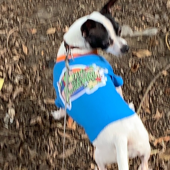 Meet your Posher, Thomas - Picture 5 of 16